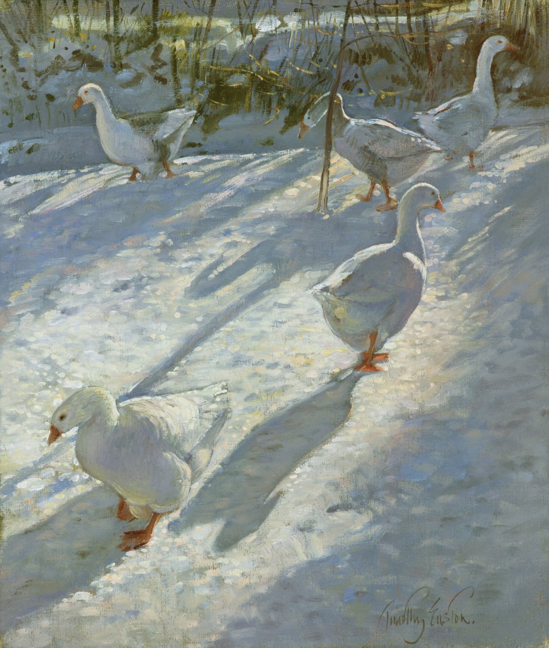 A lejtő felfedezése alkotó: Timothy Easton
