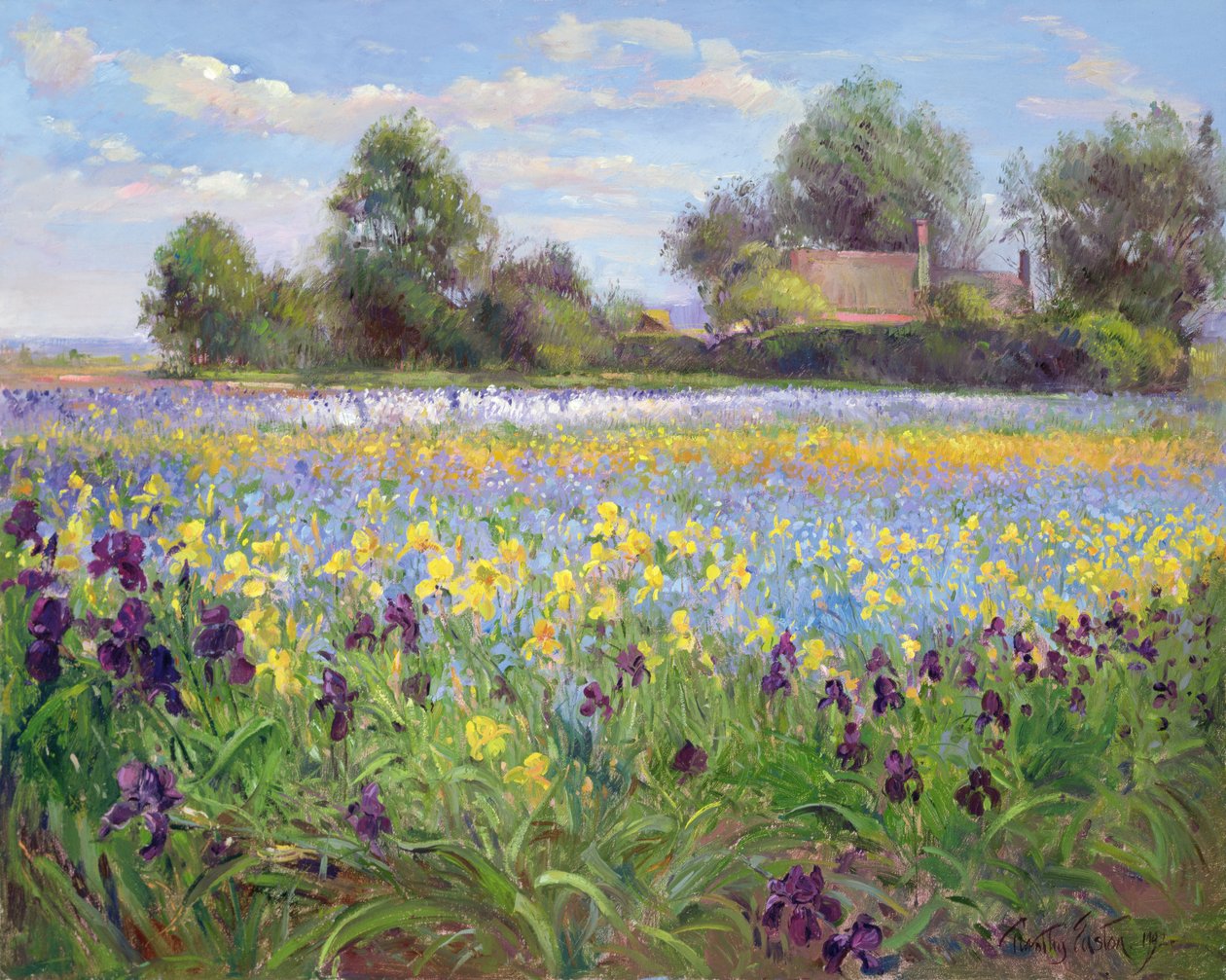 Farmstead és Iris Field, 1992 alkotó: Timothy Easton