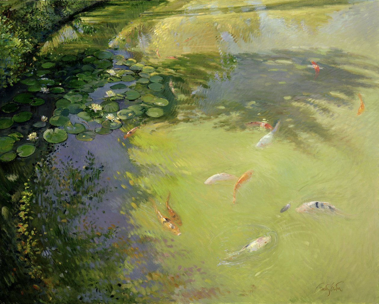 Featherplay alkotó: Timothy Easton