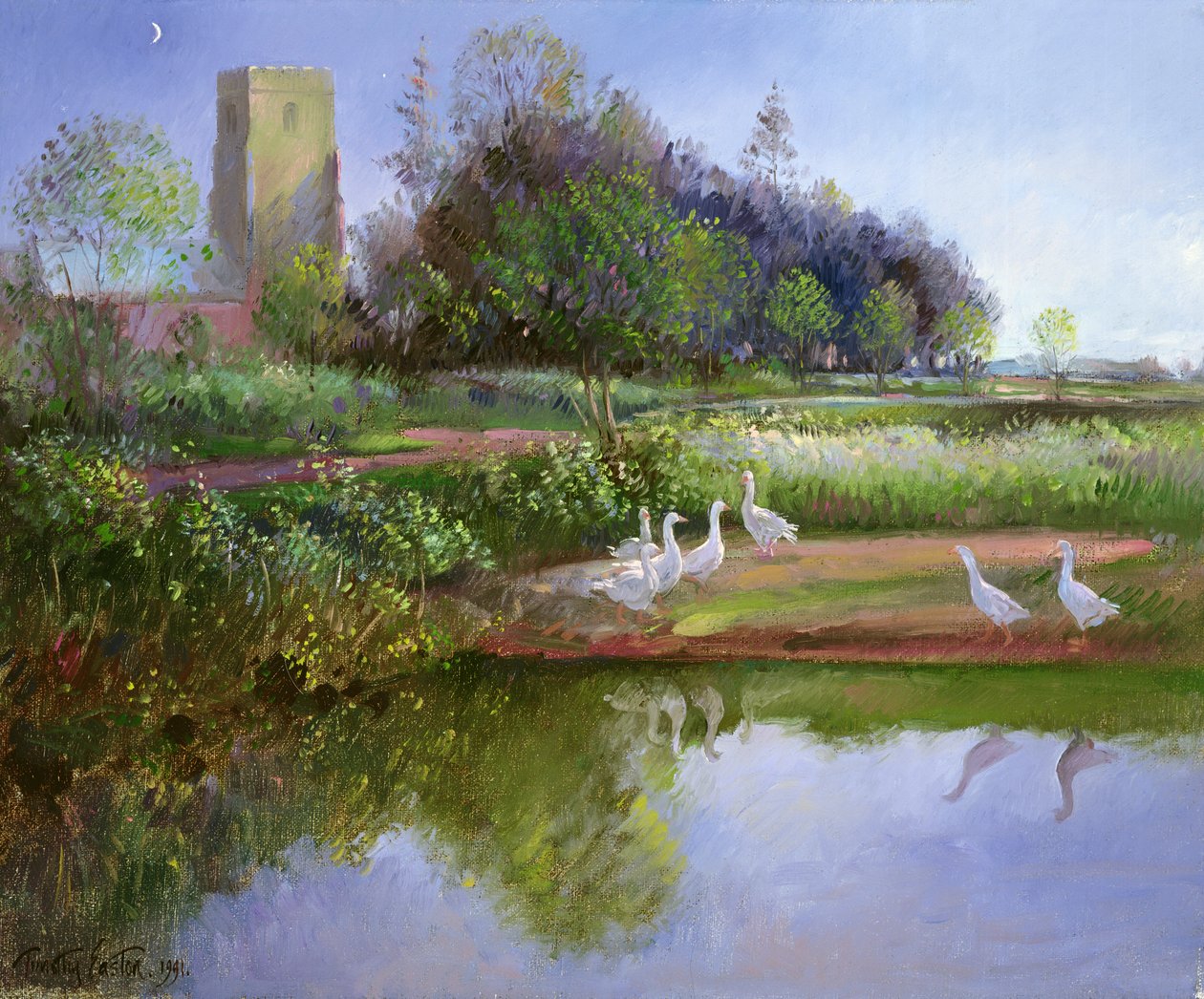 Libák napnyugtakor, 1991 alkotó: Timothy Easton