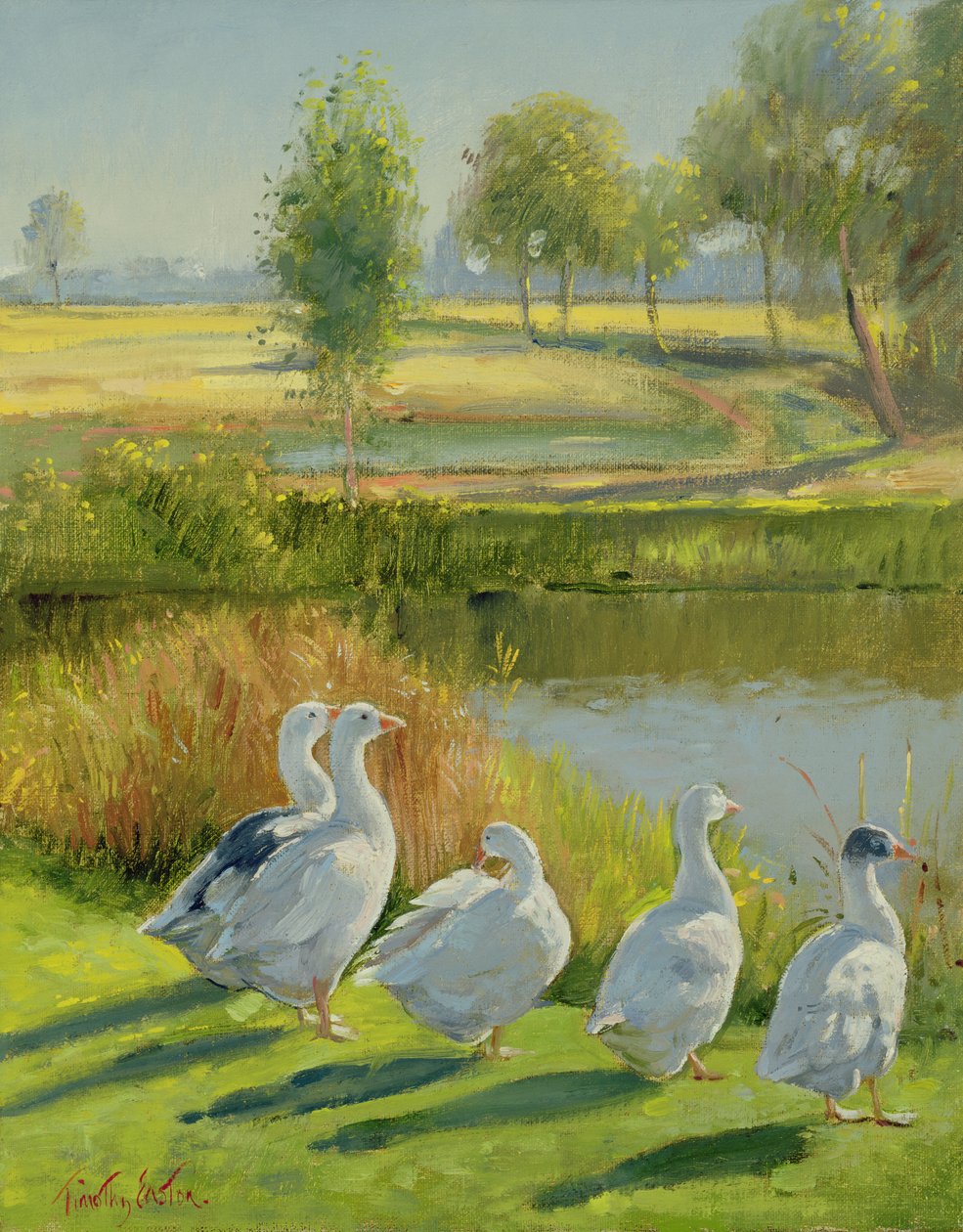 Gooseguard alkotó: Timothy Easton