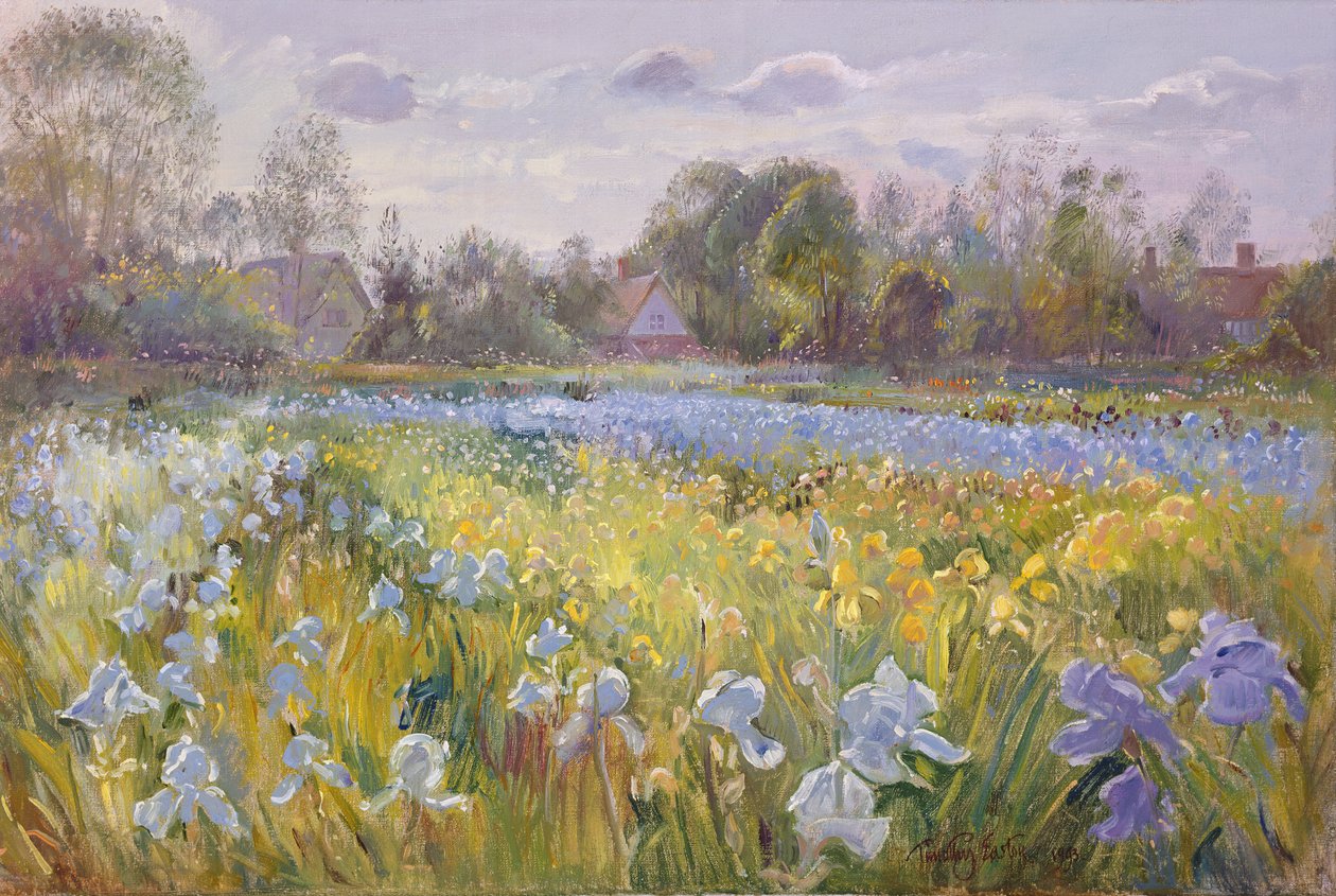 Íriszmező az esti fényben, 1993 alkotó: Timothy Easton