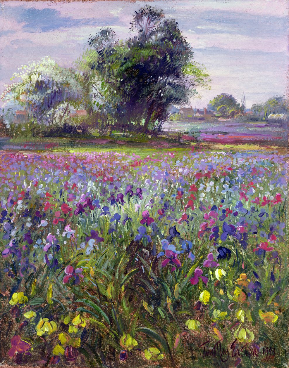 Íriszek és távoli májusfa, 1993 alkotó: Timothy Easton