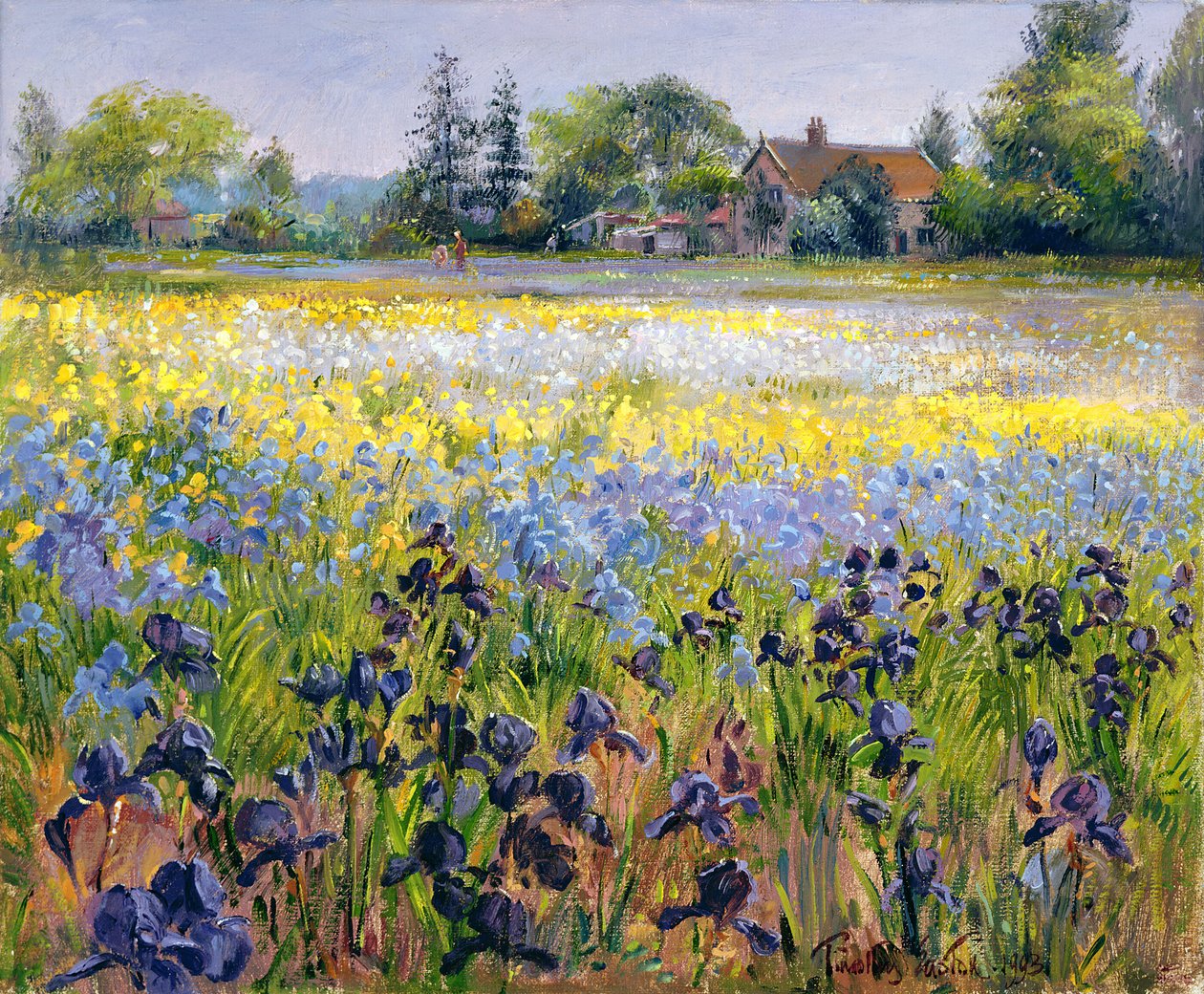 Íriszek és két fenyő, 1993 alkotó: Timothy Easton