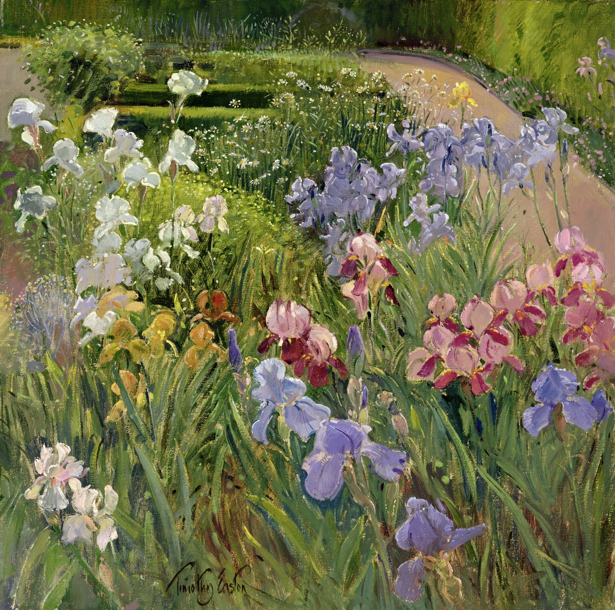 Íriszek a Bedfieldben alkotó: Timothy Easton