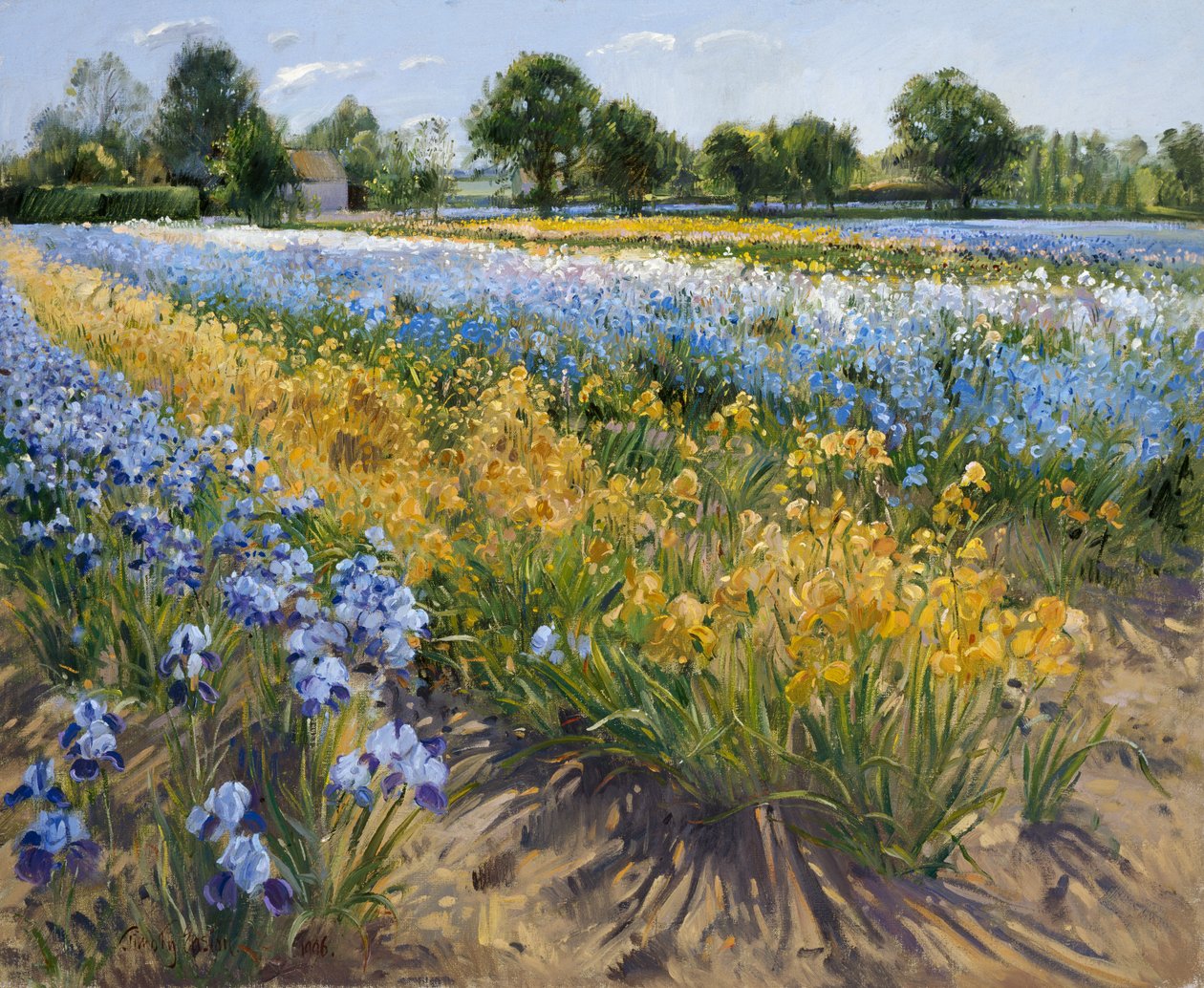 Íriszek a Burgate-ben, 1996 alkotó: Timothy Easton