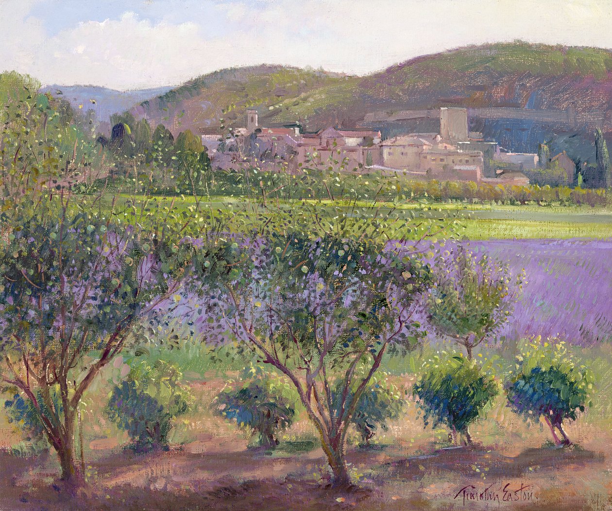 Levendula a birsfákon keresztül, Monclus alkotó: Timothy Easton