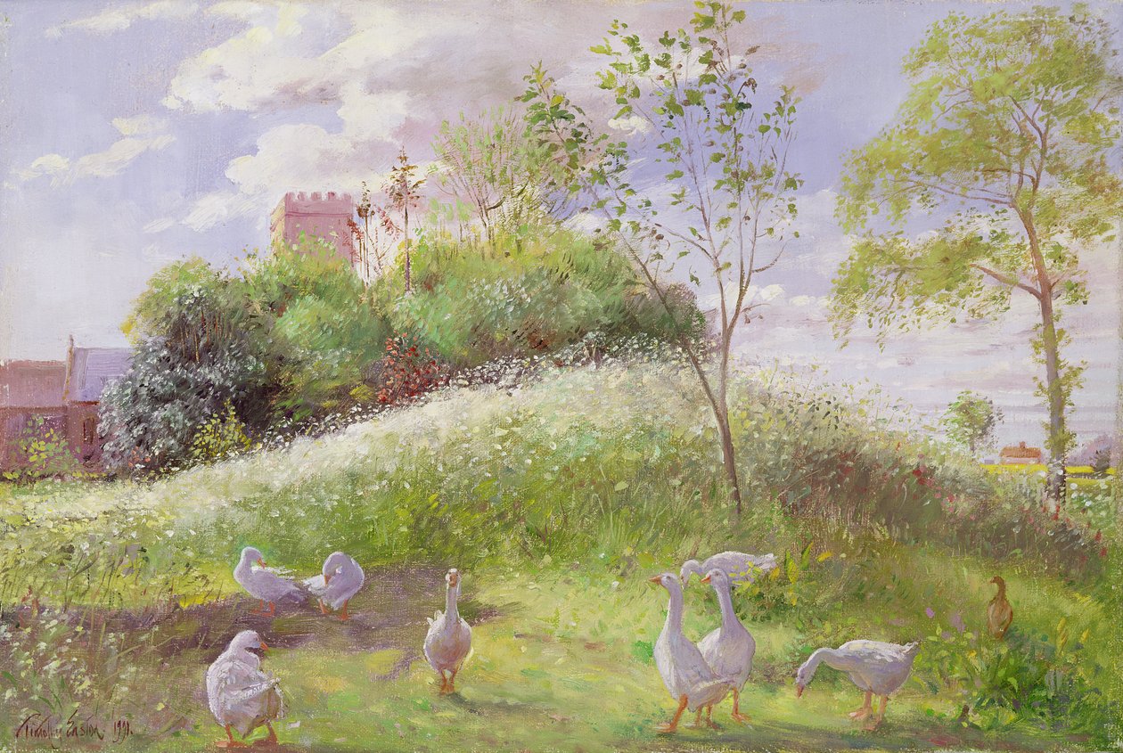 May Mount, 1991 alkotó: Timothy Easton