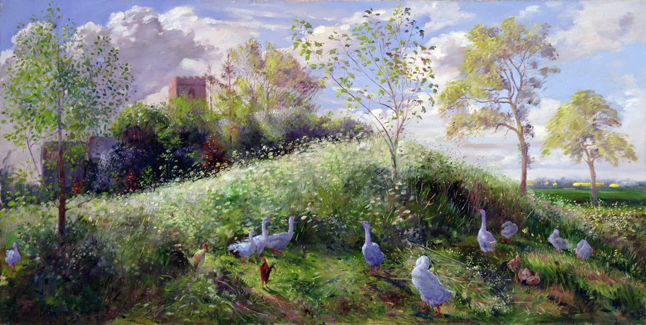 Mount májusban alkotó: Timothy Easton