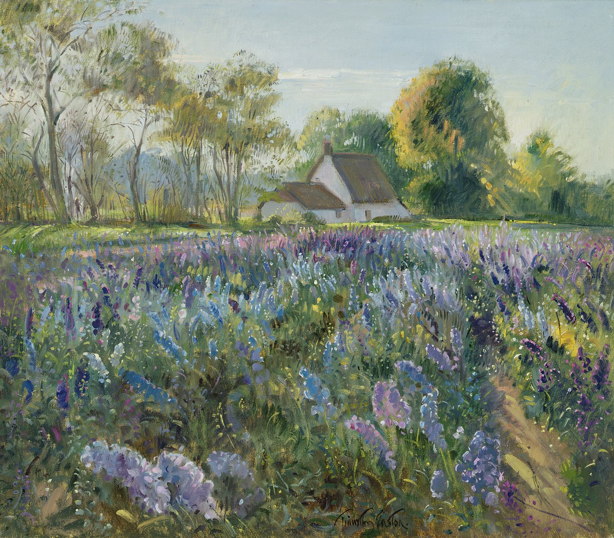 Októberi Delphiniumok alkotó: Timothy Easton