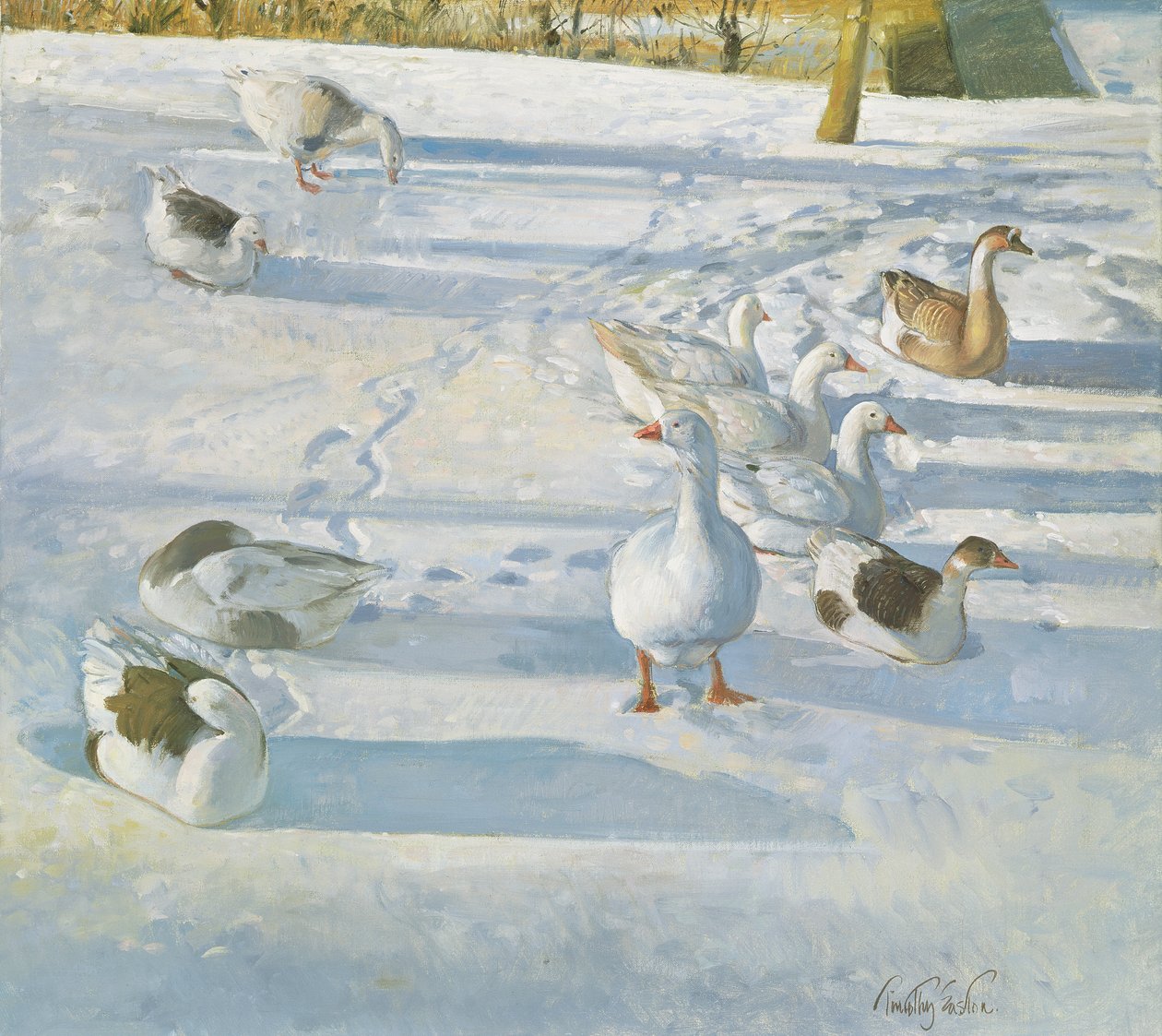 Pihenés a lejtőn alkotó: Timothy Easton