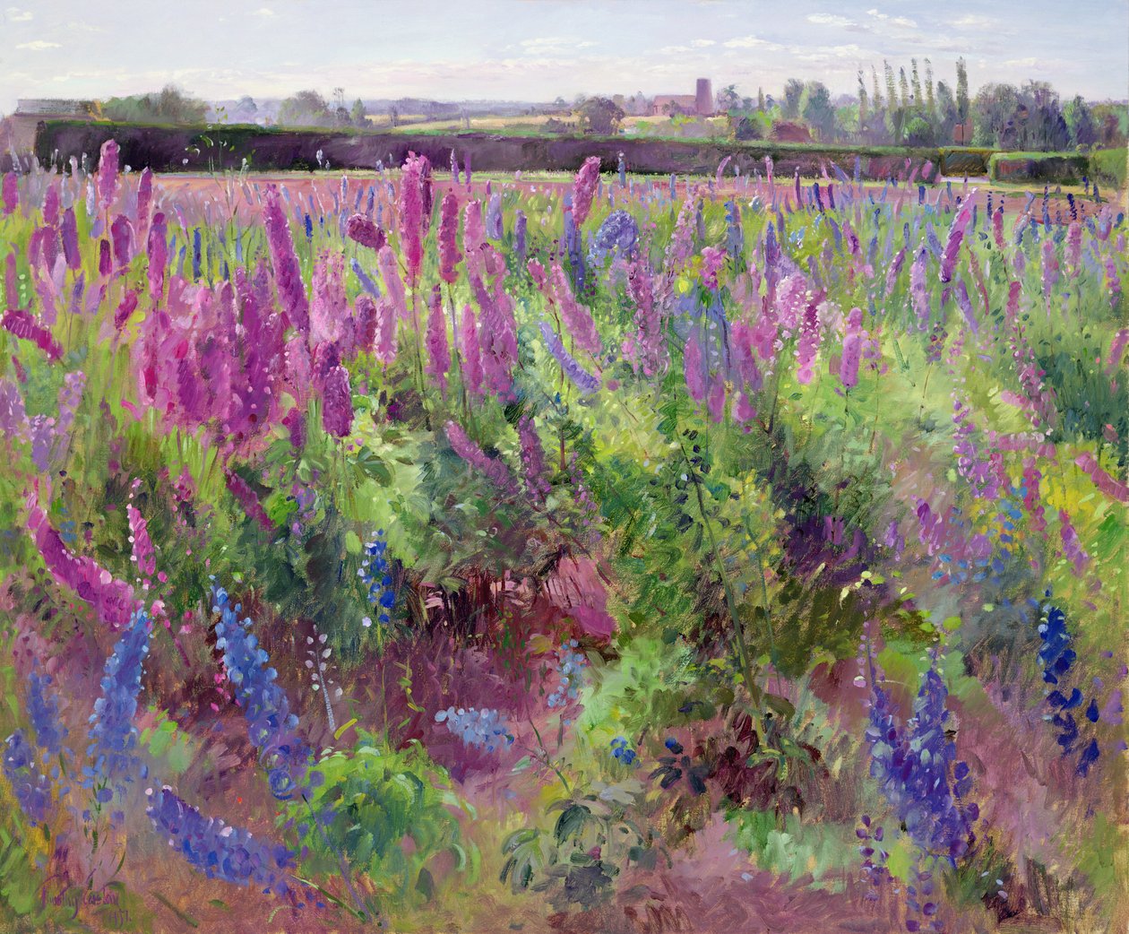 Delphinium Field, 1991 alkotó: Timothy Easton