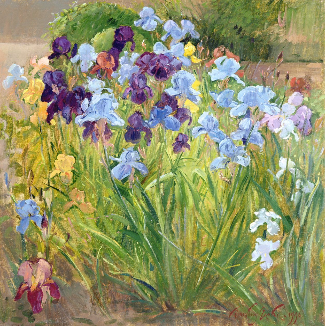 Az írisz ágy, Bedfield, 1996 alkotó: Timothy Easton