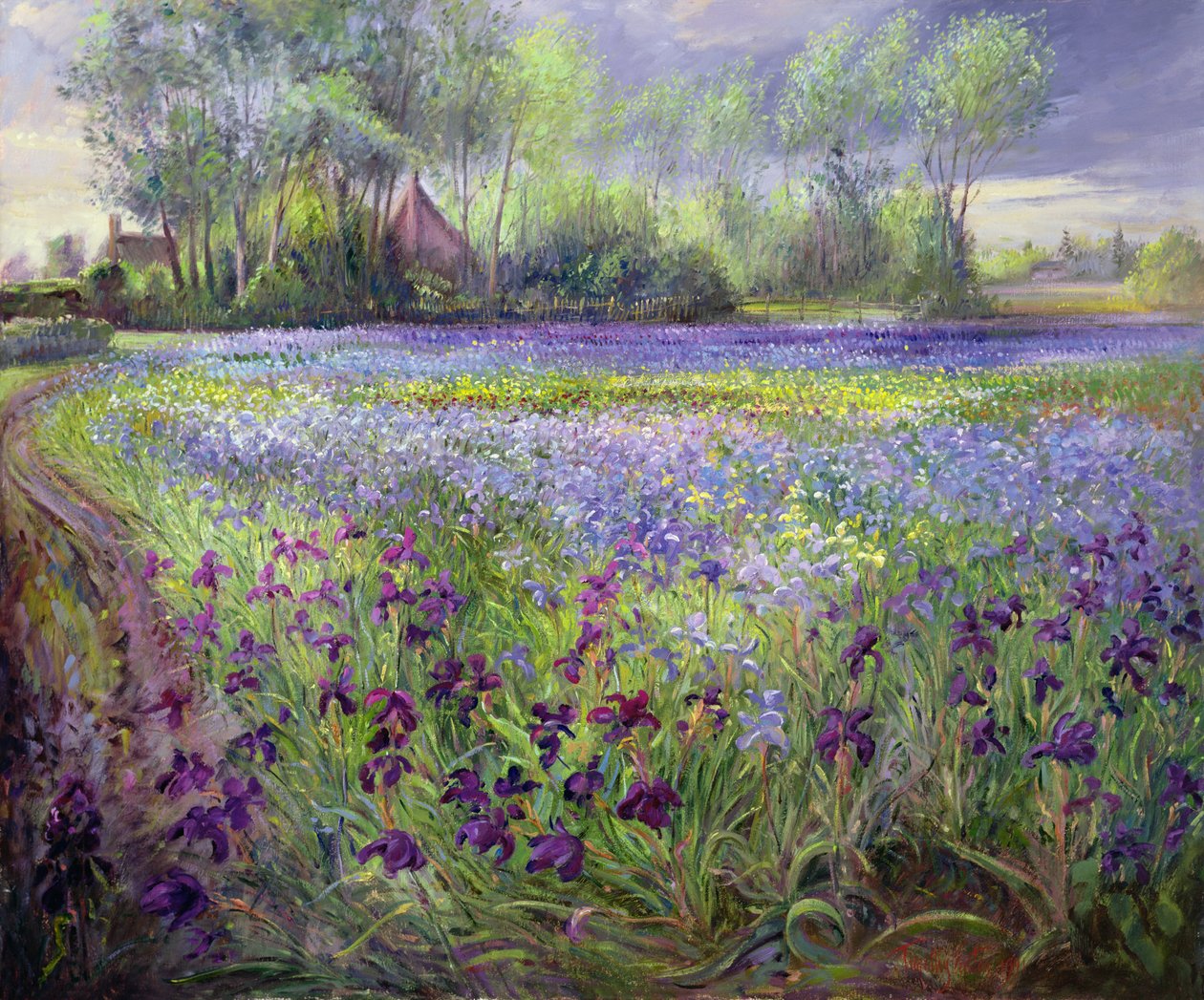 Trackway az Iris Field mellett, 1991 alkotó: Timothy Easton