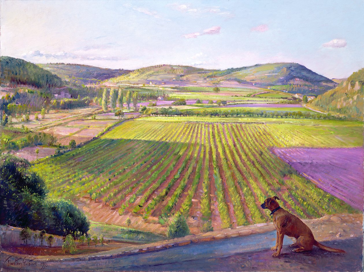 Nézés a falakról, Old Provence, 1993 alkotó: Timothy Easton