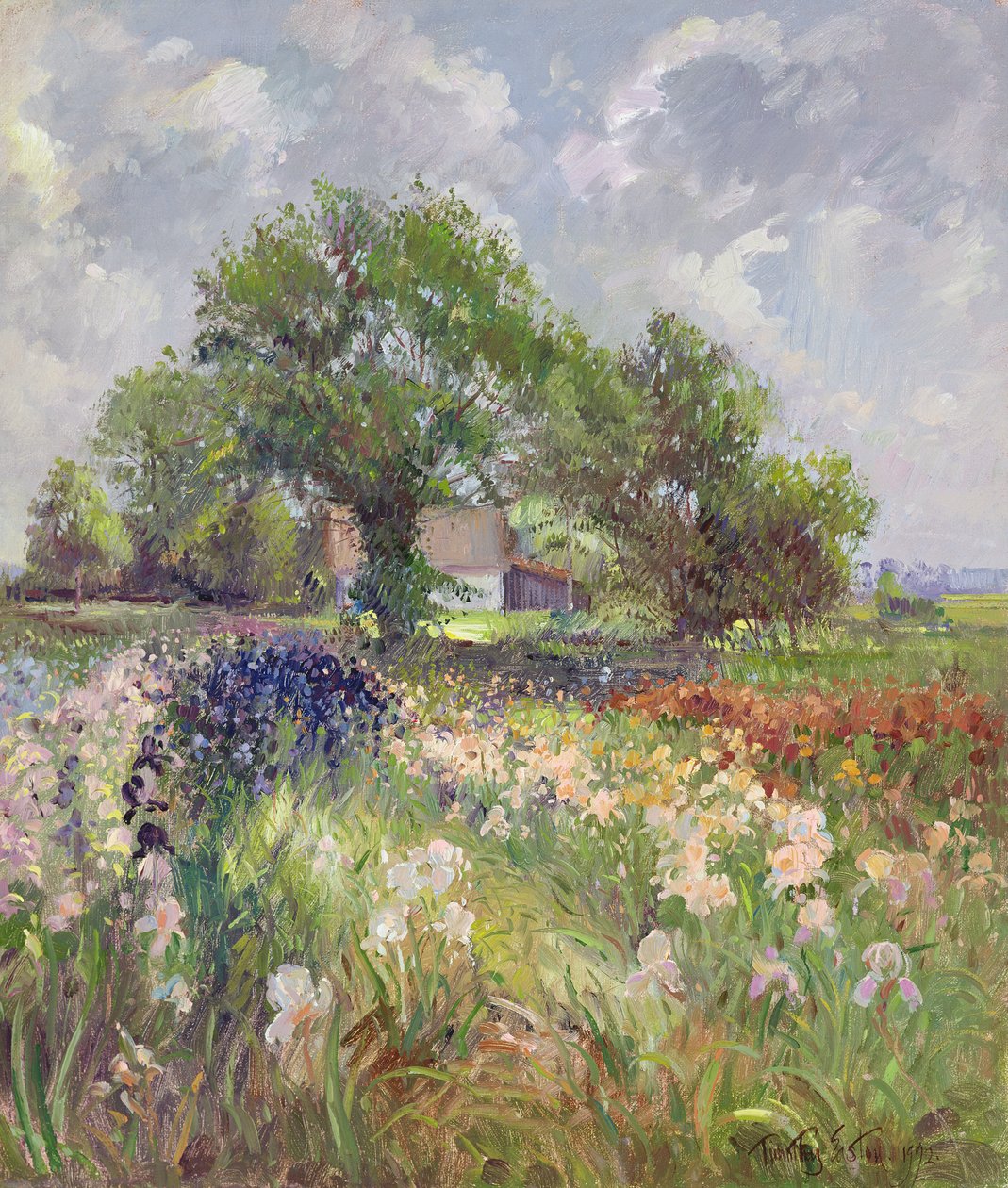 White Barn és Iris Field, 1992 alkotó: Timothy Easton