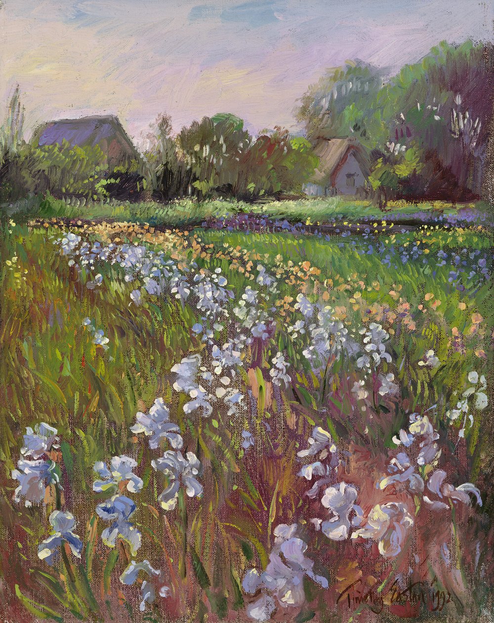 Fehér íriszek és tanya alkotó: Timothy Easton