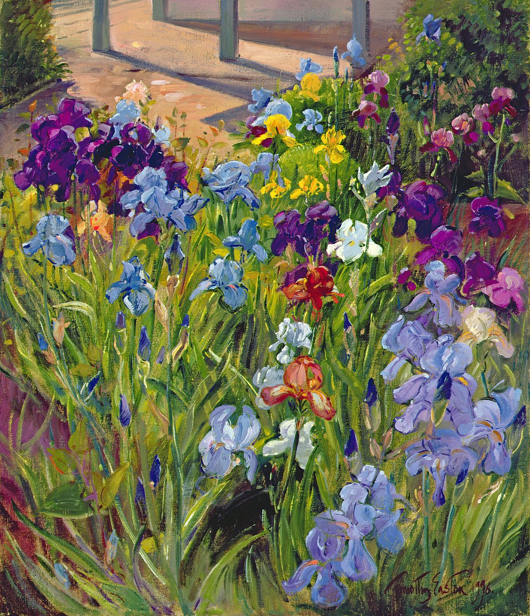 Irises and Summer House Shadows, 1996 alkotó: Timothy Easton