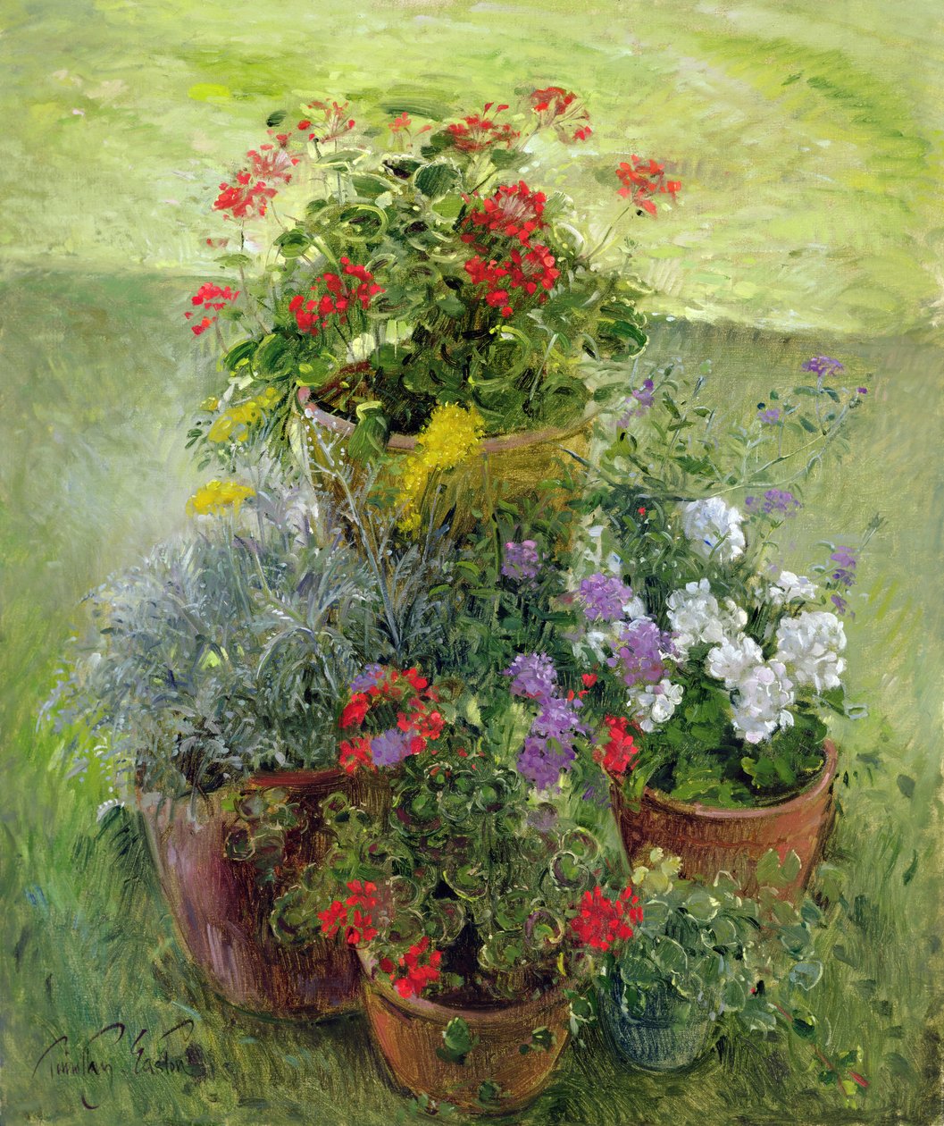Árnyékolt edények (olaj, vászon) alkotó: Timothy Easton