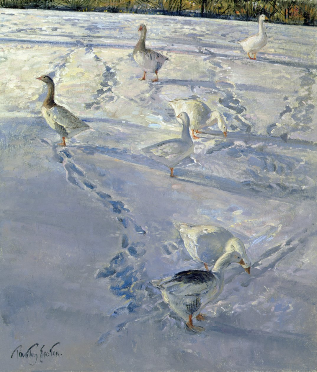 Árnyak és nyomvonalak (olaj, vászon) alkotó: Timothy Easton