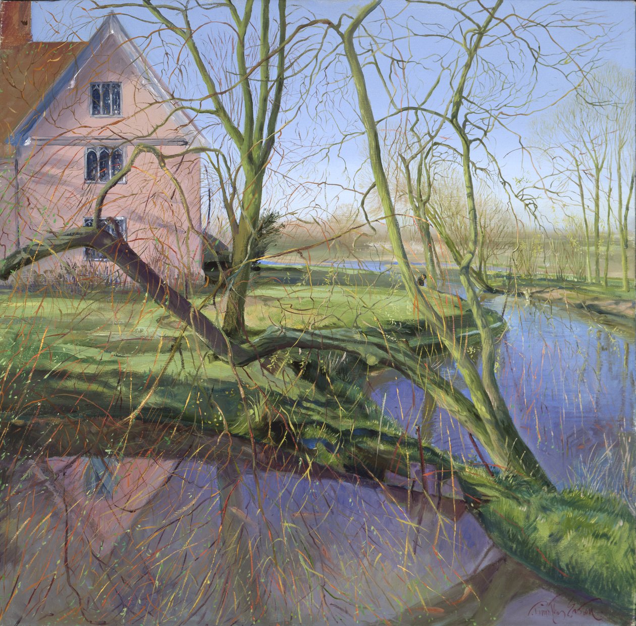 Csírázó fűzfa alkotó: Timothy Easton