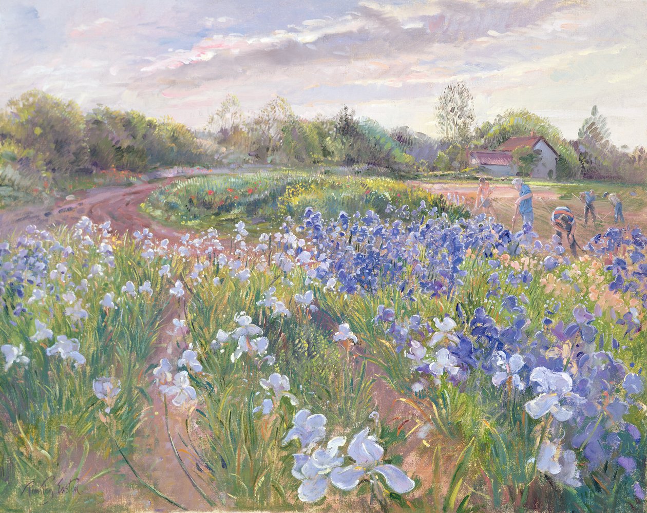 Napfény az íriszeken, 1996 alkotó: Timothy Easton