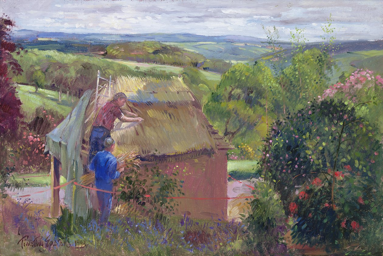 Thatching the Summer House, Lanhydrock House, Cornwall, 1993 alkotó: Timothy Easton