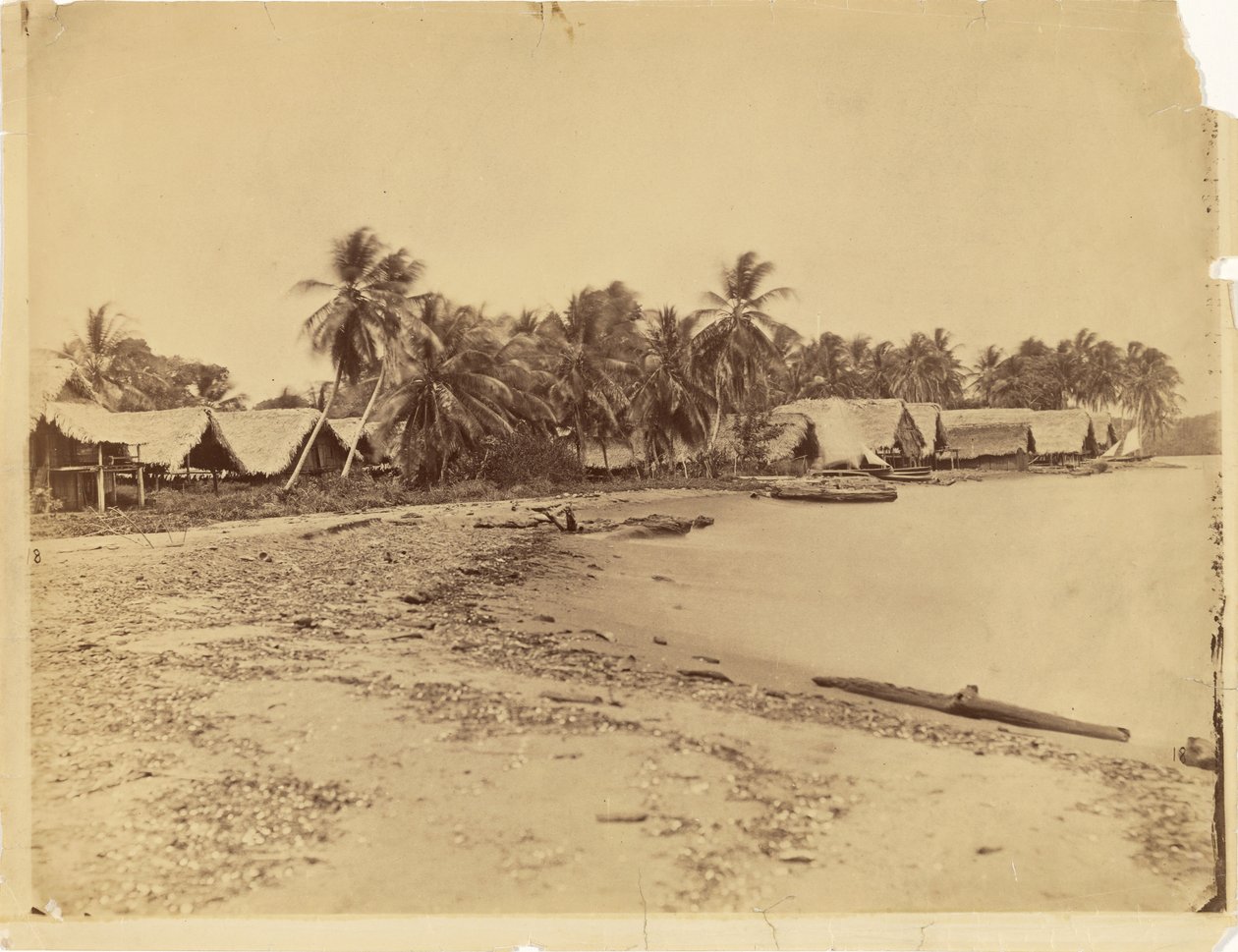 [Kunyhók, pálmafák és strand, Itshumus, Darién (Panama)] alkotó: Timothy H. O