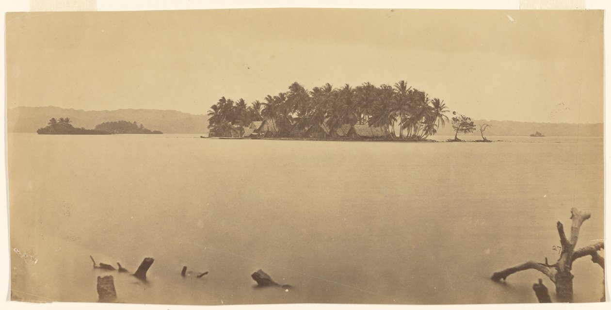 [Darién-földszoros (Panama)] alkotó: Timothy H. O
