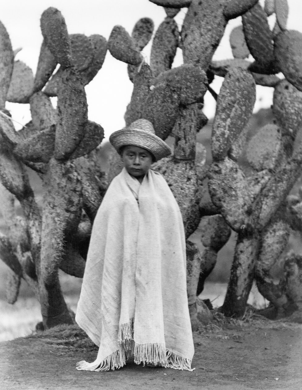 Fiú egy kaktusz előtt, Veracruz állam, Mexikó, 1927 (fekete-fehér fotó) alkotó: Tina Modotti