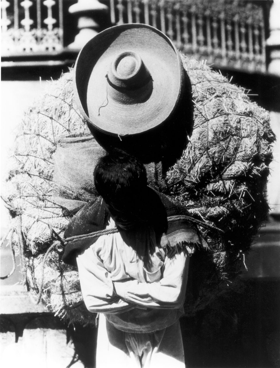 Campesino, Veracruz állam, Mexikó, 1927 alkotó: Tina Modotti