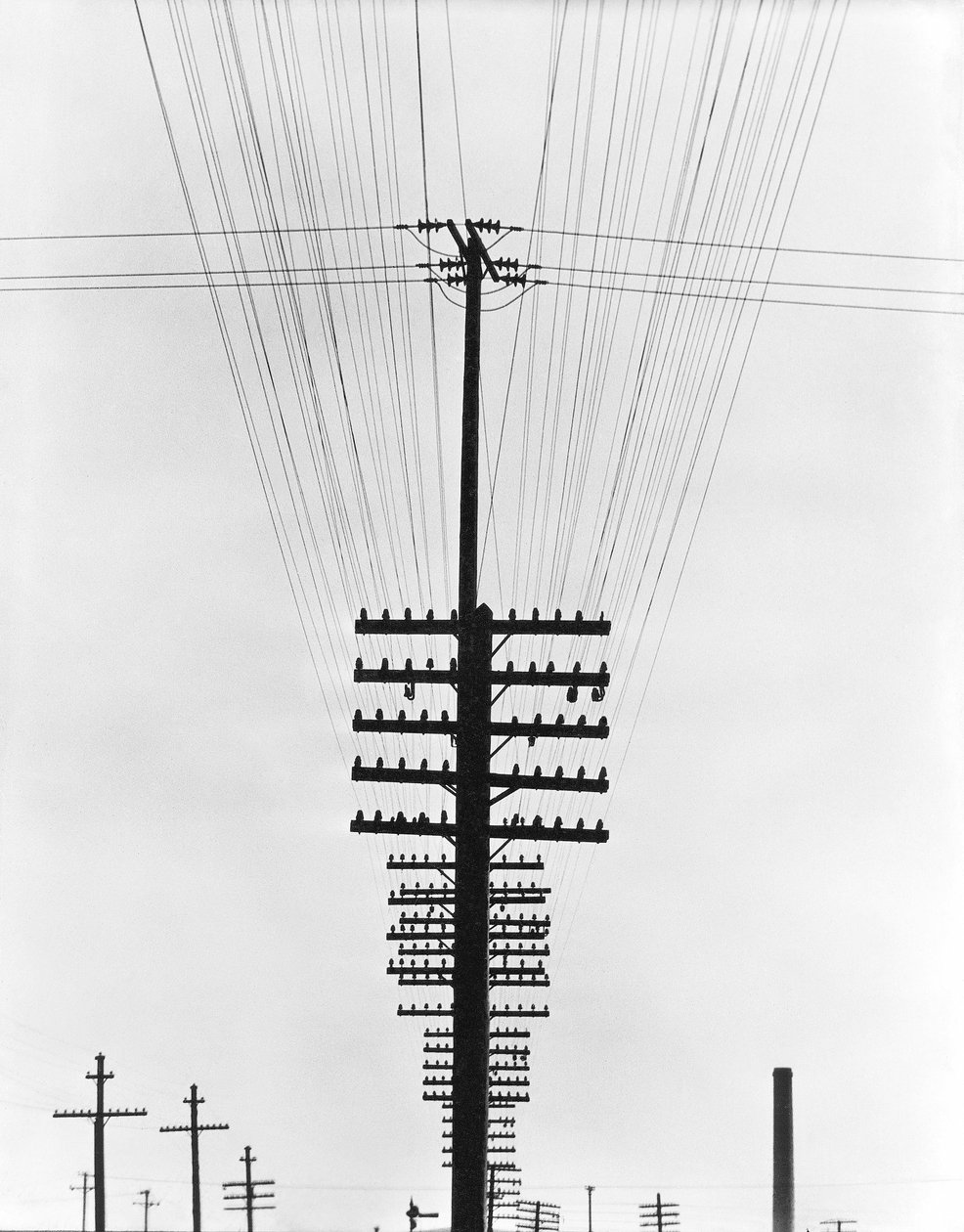 Telegraph Wires, Mexikó, 1925 alkotó: Tina Modotti
