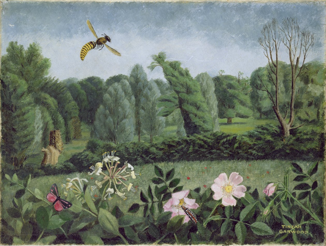 Hornet és vadrózsa alkotó: Tirzah Ravilious