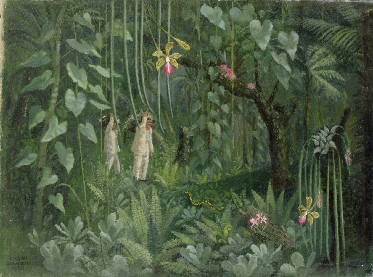 Brazília orchideavadászai alkotó: Tirzah Ravilious