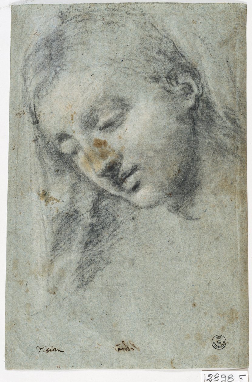 Egy nő feje (szén a papíron) alkotó: Titian (c.1488 1576)