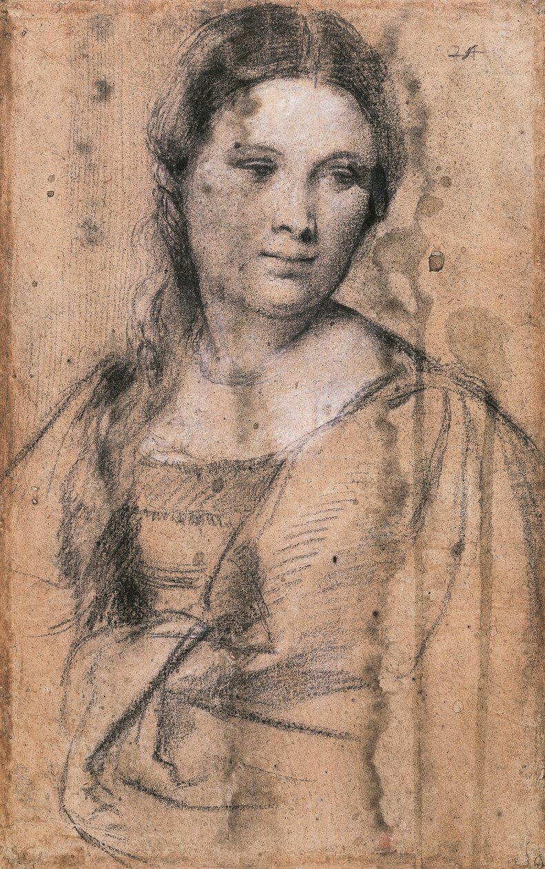 Tizian fiatal lány portréja (kb. 1490-1576), rajz alkotó: Titian (c.1488 1576)