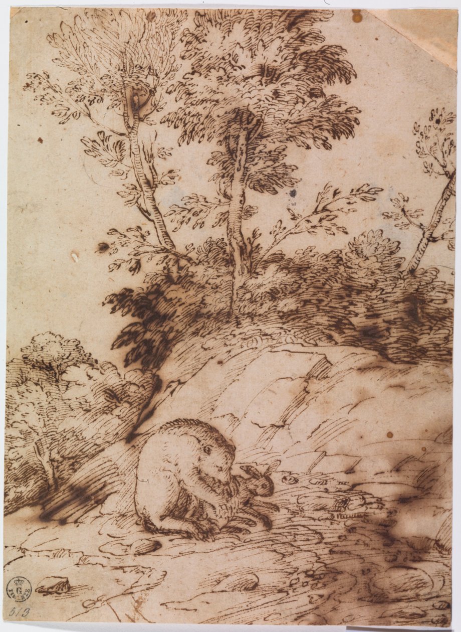Egy medve eszik egy nyulat (toll és tus, papír) alkotó: Titian (c.1488 1576)