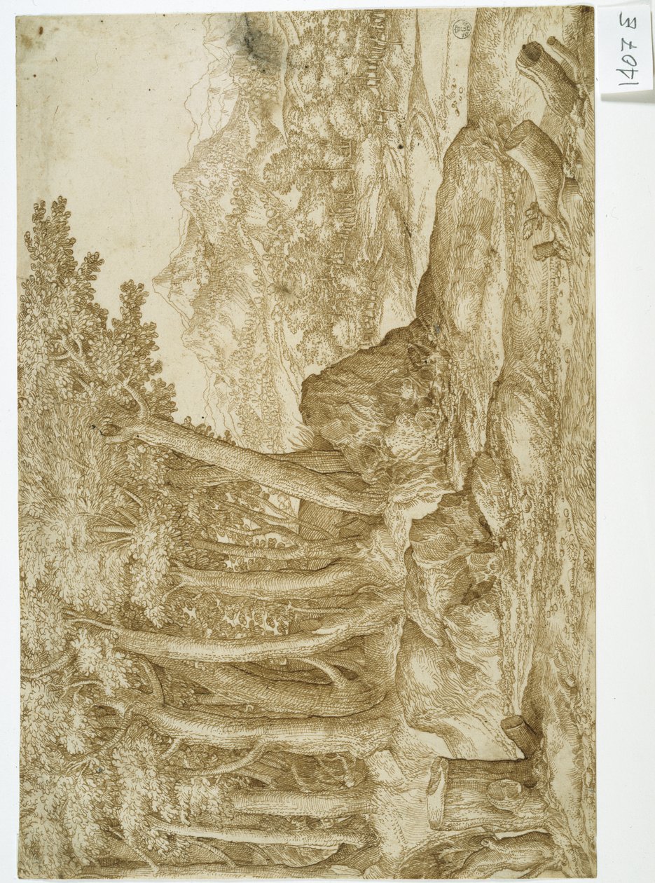 Tájkép (toll és tus, papír) alkotó: Titian (c.1488 1576)