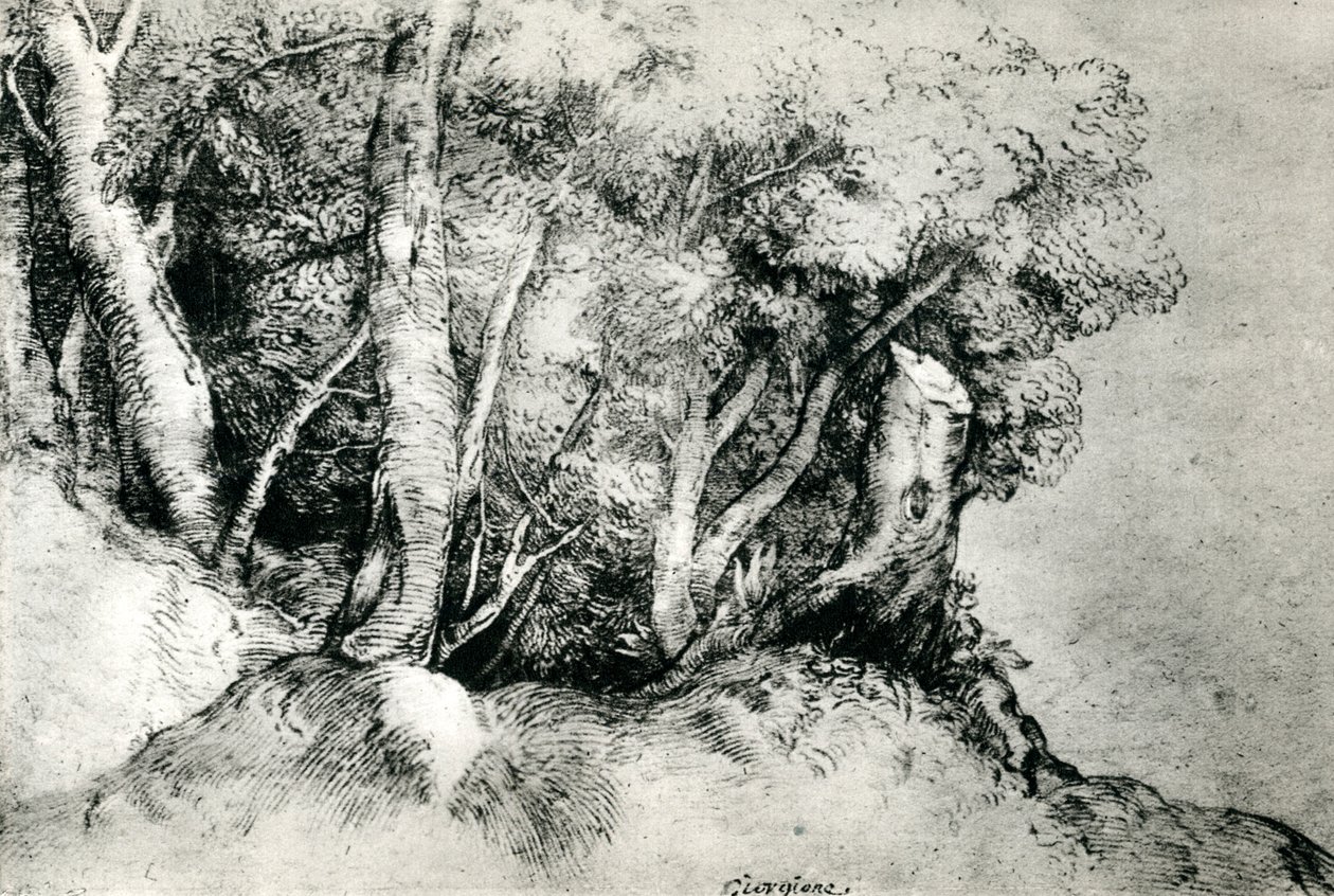 Erdei táj, c1516-1518, 1937 alkotó: Tiziano Vecelli