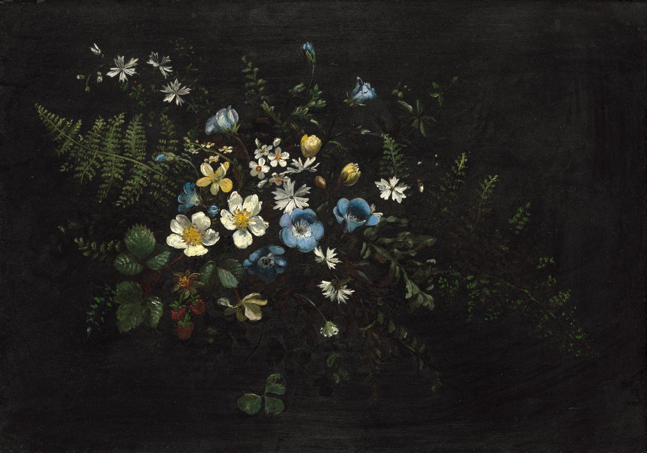 Virágok és páfrányok permetezése alkotó: Titian Ramsay Peale