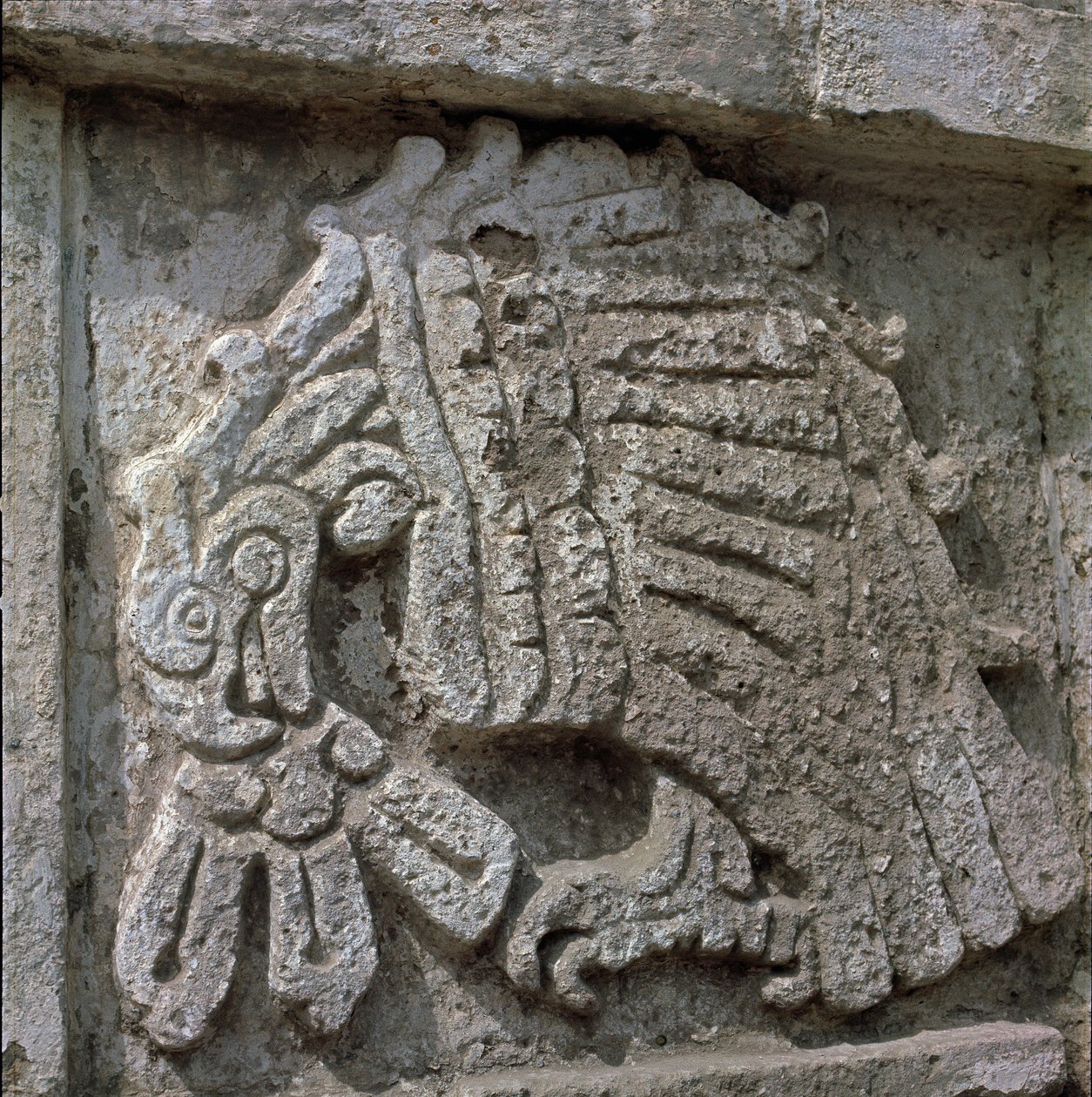 Egy sas domborműve, Quetzalcoatl temploma alkotó: Toltec Toltec