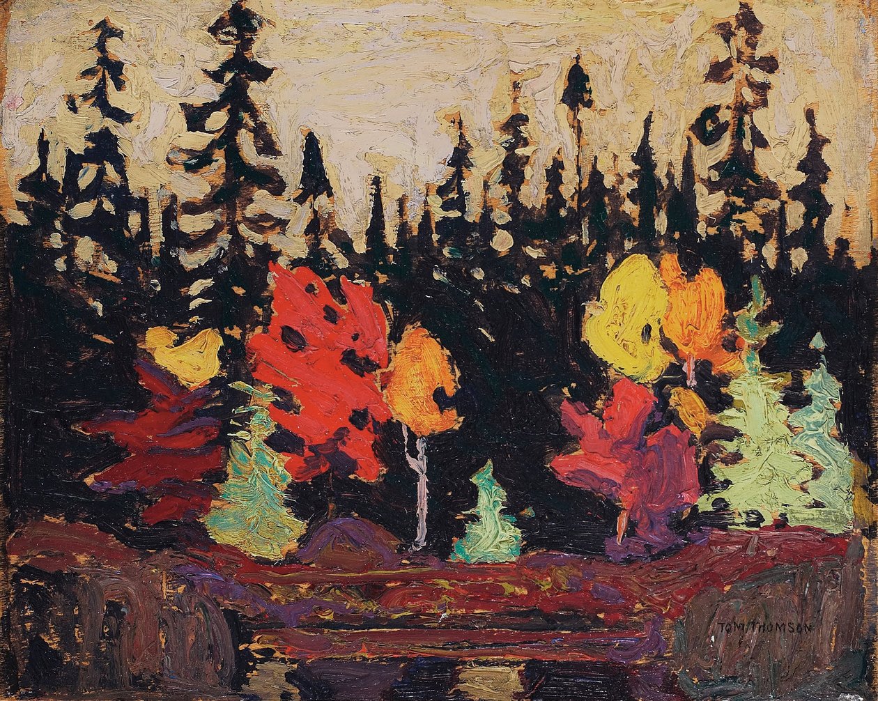 Fekete lucfenyő és juhar alkotó: Tom Thomson