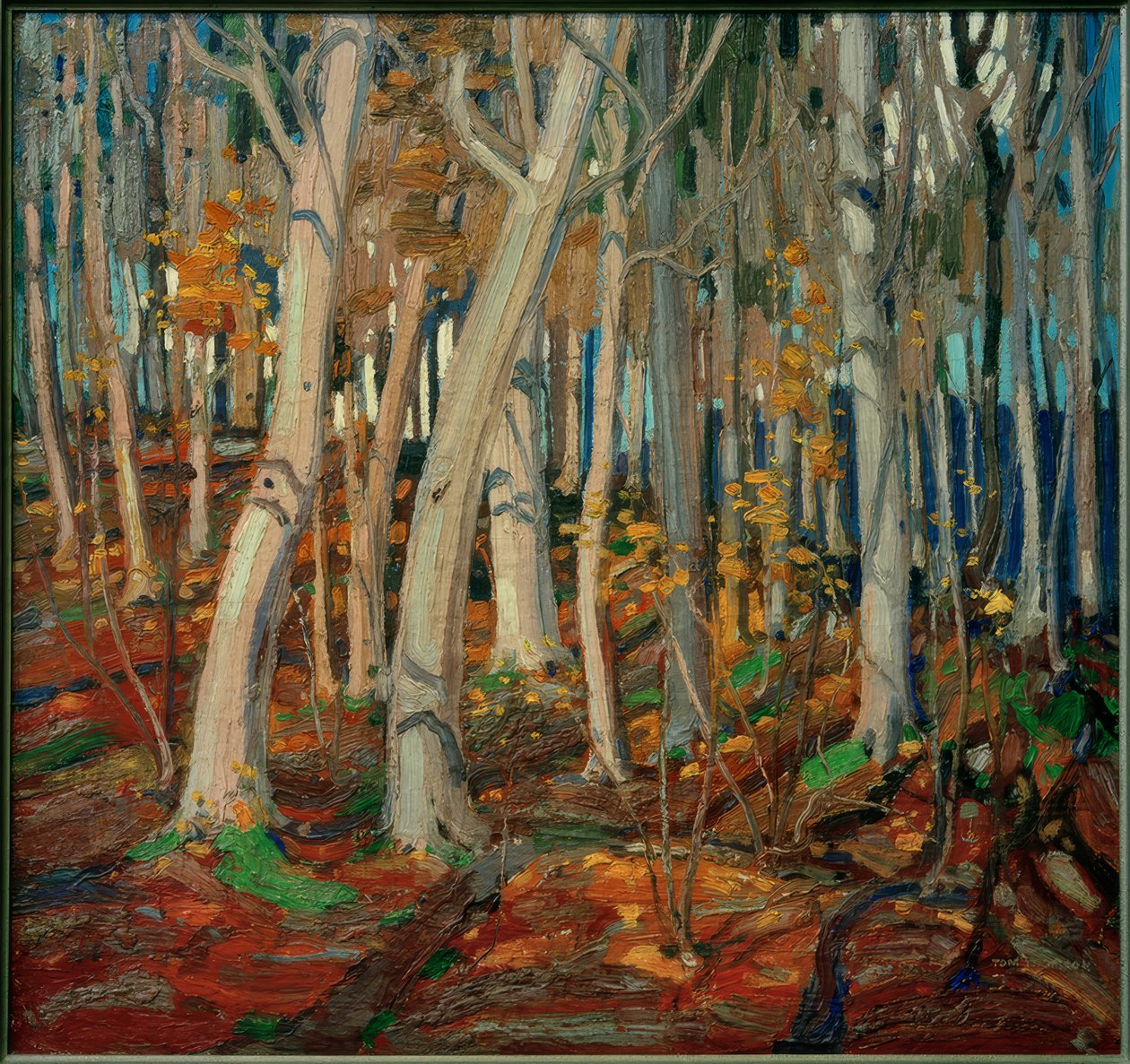 Maple Woods, Bare Trunks, 1916 alkotó: Tom Thomson