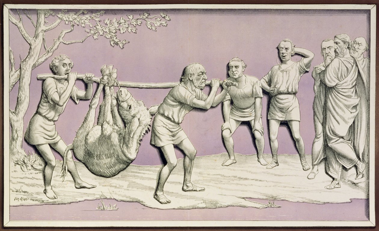 The Old Man and his Ass, vagy How They Carried the Home Rule Bill, a „St. Stephen