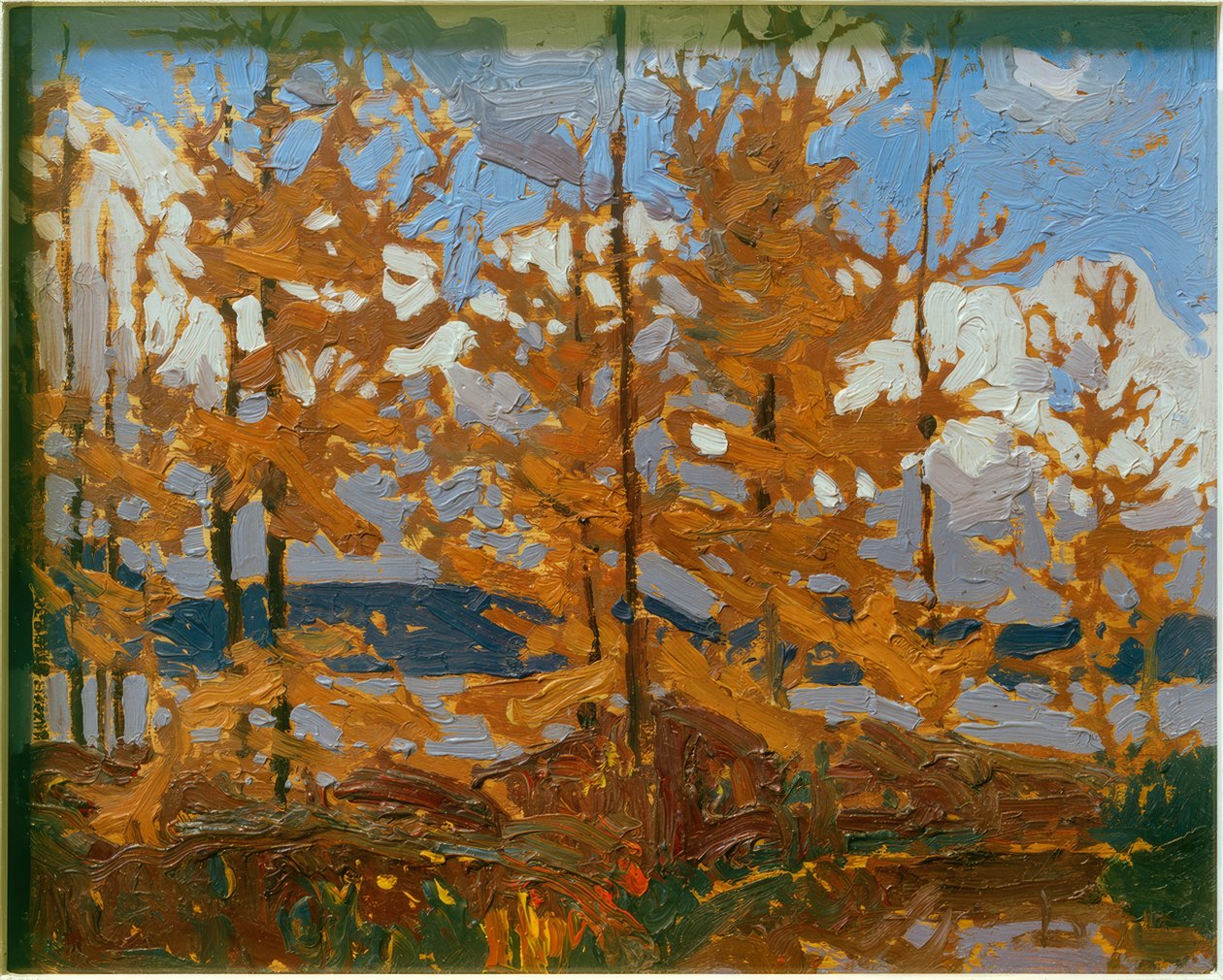 tamarkas alkotó: Tom Thomson