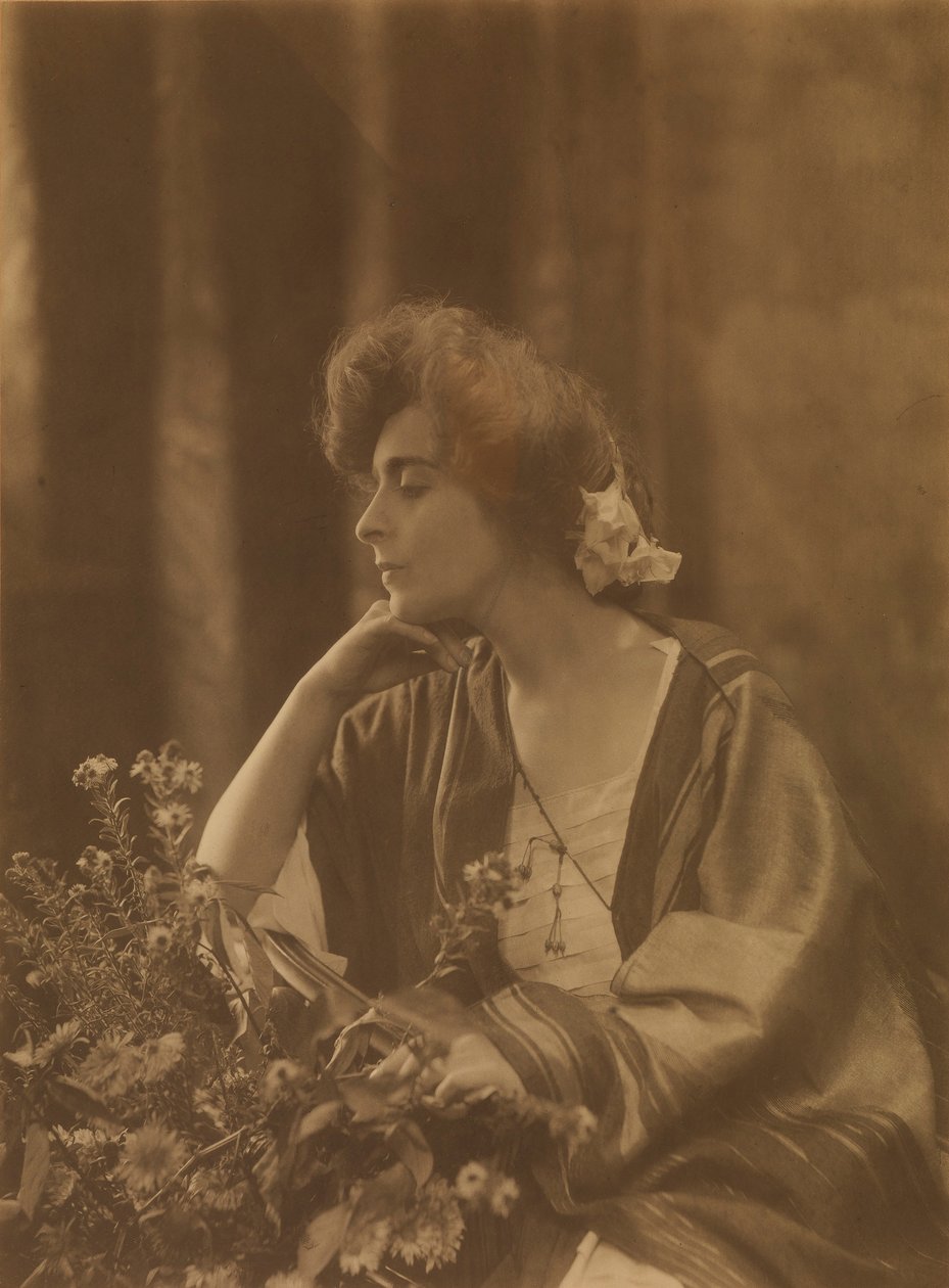 Laura Dreyfus Barney alkotó: Toponier Roissonnas