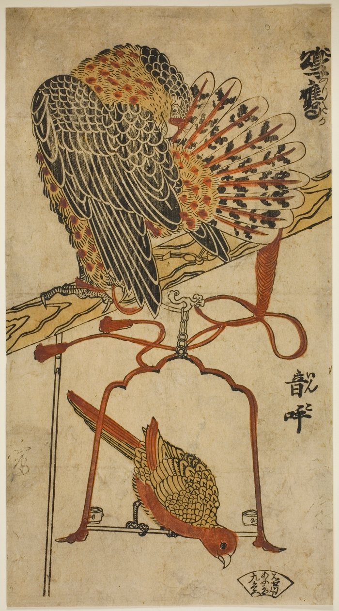 Pacsirta és ara (Sparrowhawk és ara) alkotó: Torii Kiyomasu I