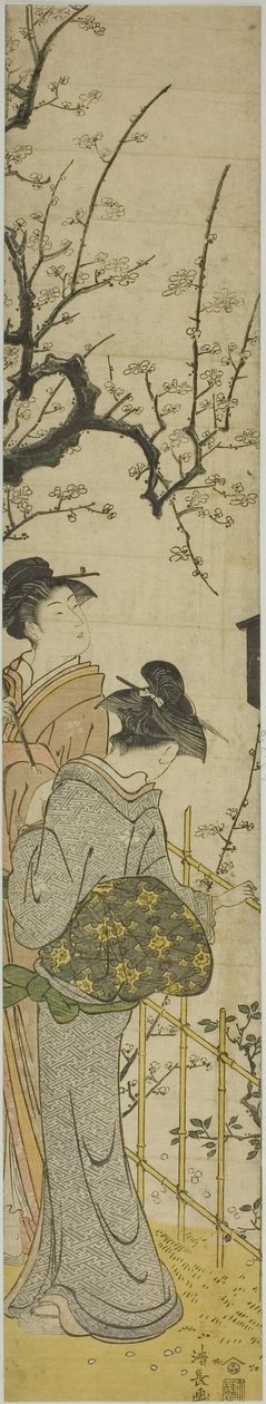 Két nő nézi a szilvavirágokat alkotó: Torii Kiyonaga