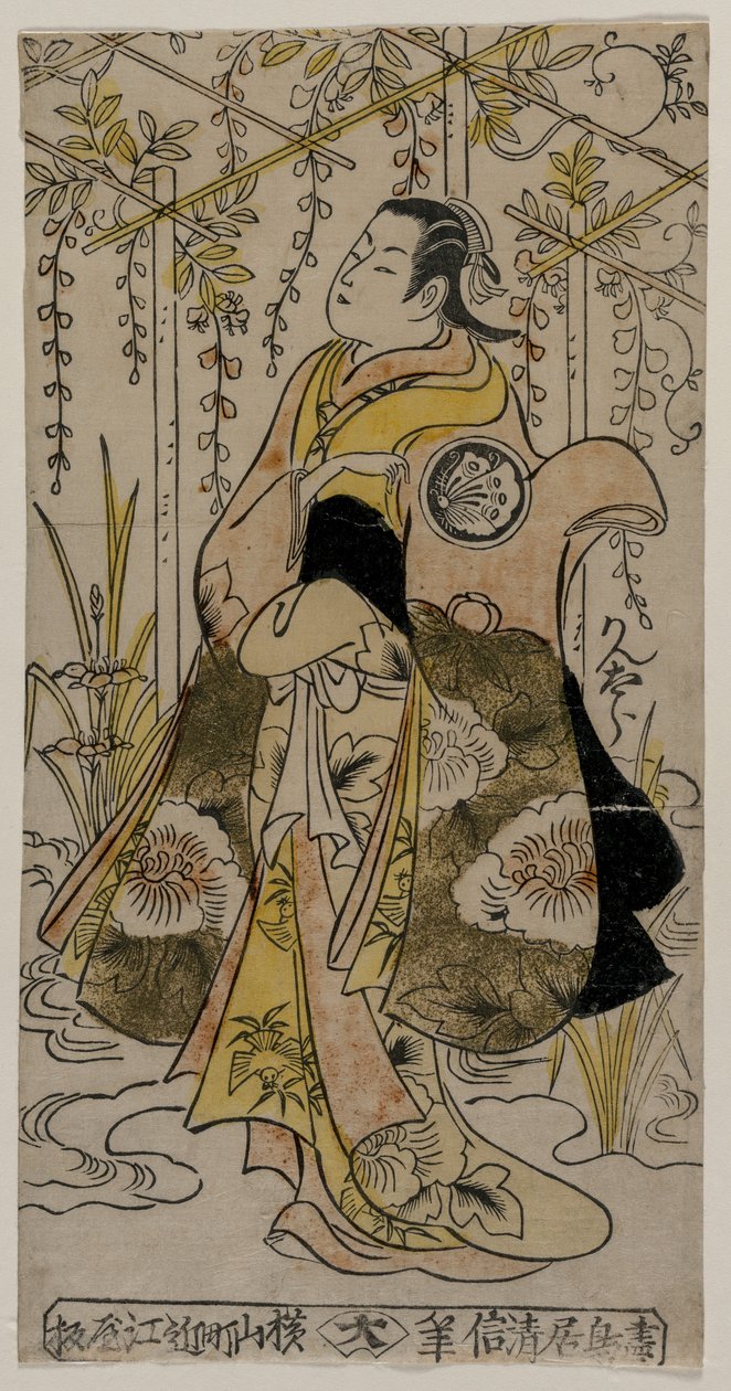 Sanjo Kantaro, mint fiatal nő egy wisteria lugasban, c. 1730-as évek eleje vagy közepe. alkotó: Torii Kiyonobu I