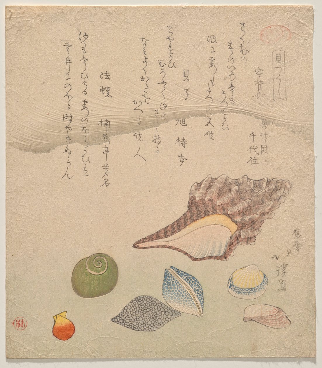 Seven Shells at the Edge of the Sea, a Shells Compendium (Kaizukushi) sorozatból alkotó: Totoya Hokkei